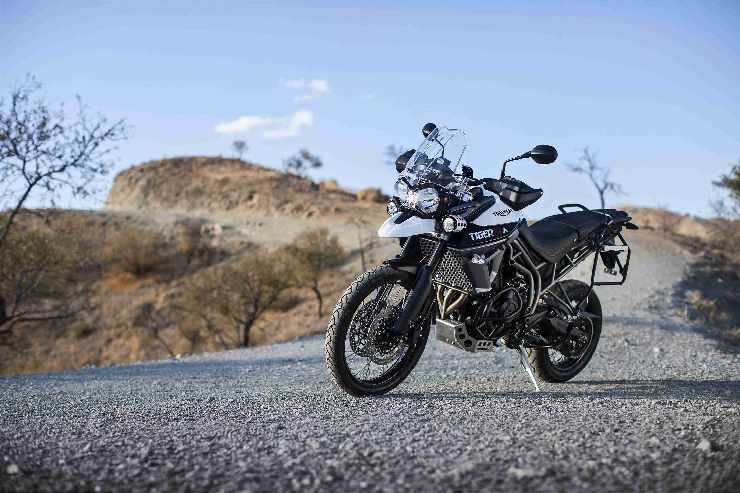 Triumph Tiger 800 XCA white front view