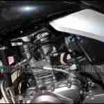 Suzuki GW250 engine