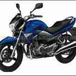 Suzuki GW250 B King