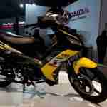 TVS Auto Expo 2012 India 08