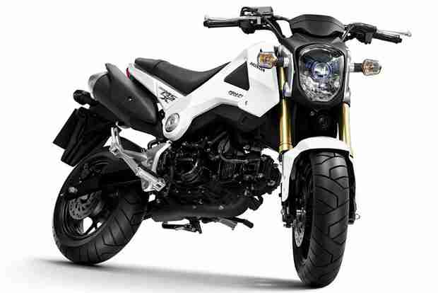New Honda MSX125 announced