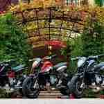 MV Agusta Rivale 800 wallpapers – 15