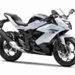 Kawasaki Ninja RR Mono – 07