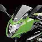 Kawasaki Ninja RR Mono – 09