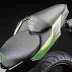 Kawasaki Ninja RR Mono – 18