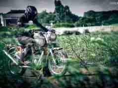 Royal Enfield Trials 350 HD wallpaper