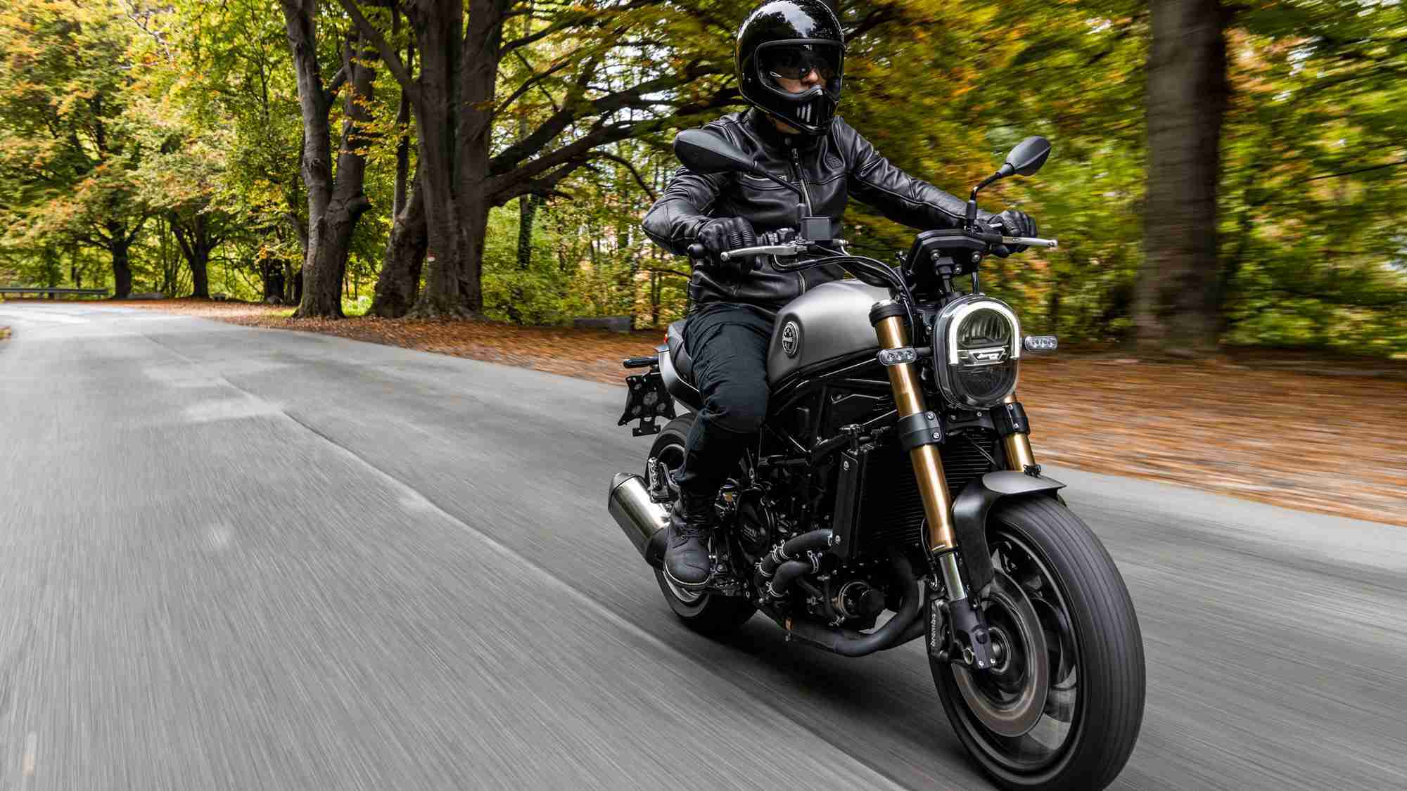 Benelli Leoncino 800 high res images