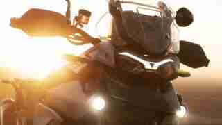 Tiger 900 HD wallpapers