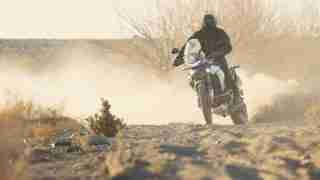 Tiger 900 HD wallpapers