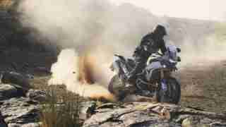 Tiger 900 HD wallpapers