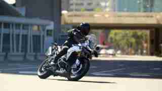 Tiger 900 HD wallpapers