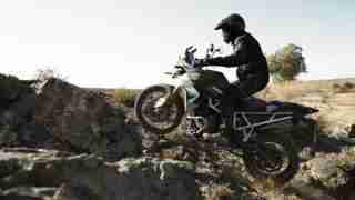 Tiger 900 HD wallpapers