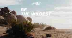 Ducati Scrambler Teaser