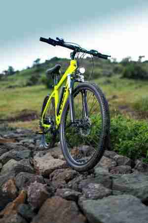 Felidae electric Maven e-bike e-cycle