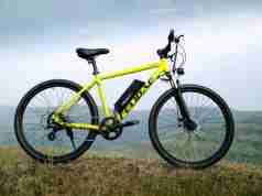 Felidae electric Maven e-bike e-cycle yellow