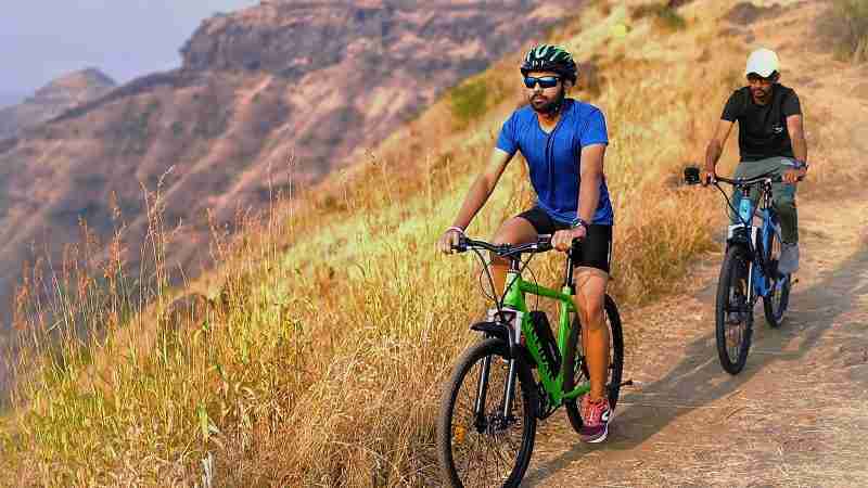 Felidae electric Maven e-bike e-cycle
