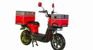 EVTRIC Motors unveils Electric Delivery Scooter