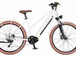 TVS gets majority stake in European e-bike brand EGO Movement