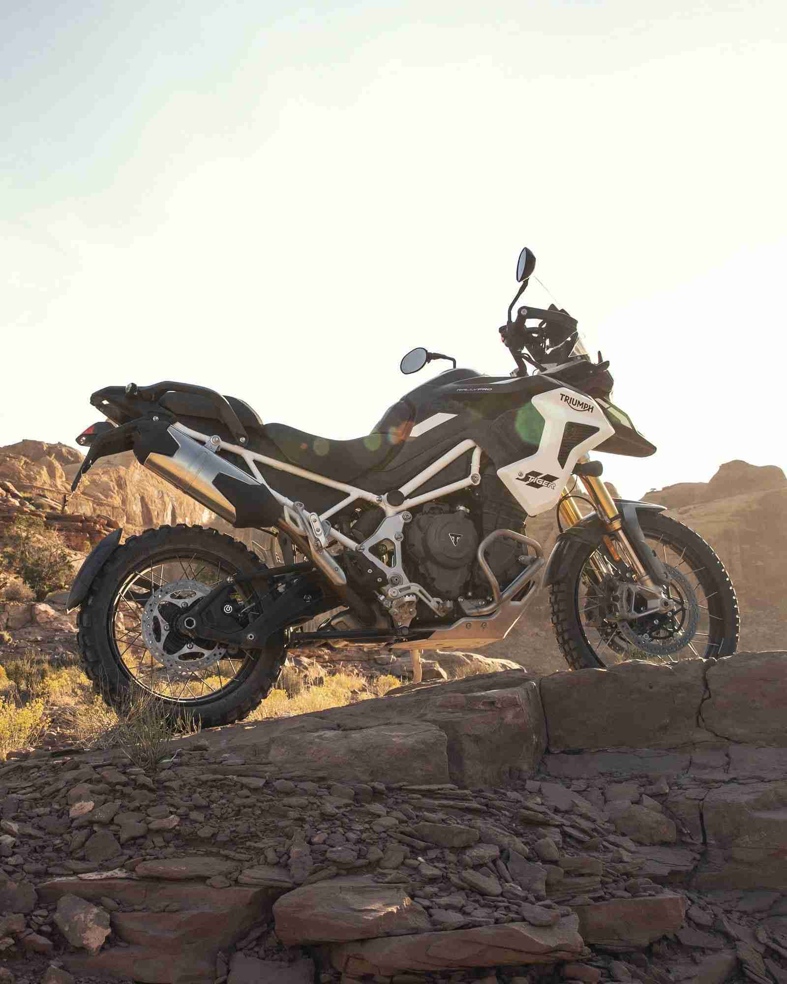 2022 Tiger-1200_Rally-Pro