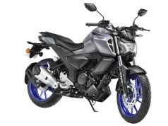 FZS Fi V4 Deluxe 2023